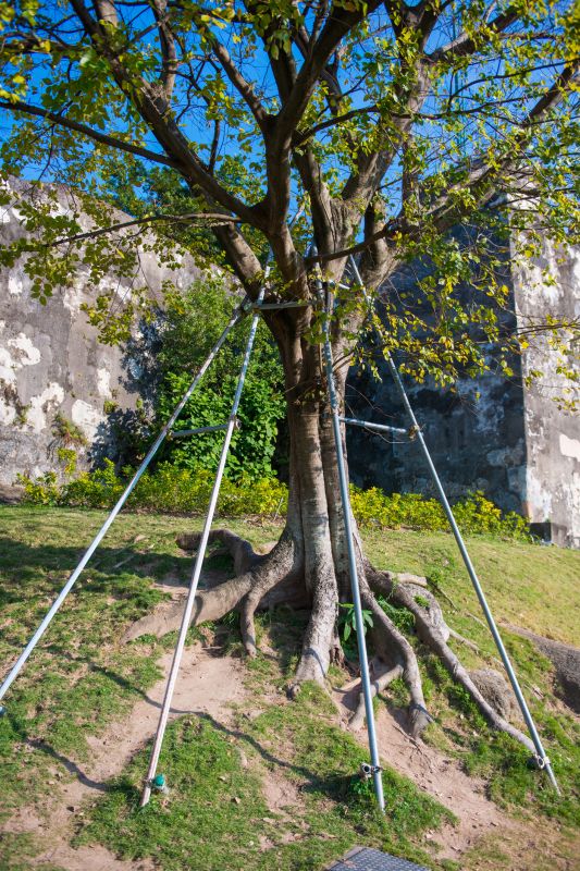 Support System Installation