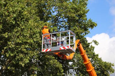 Tree Pruning