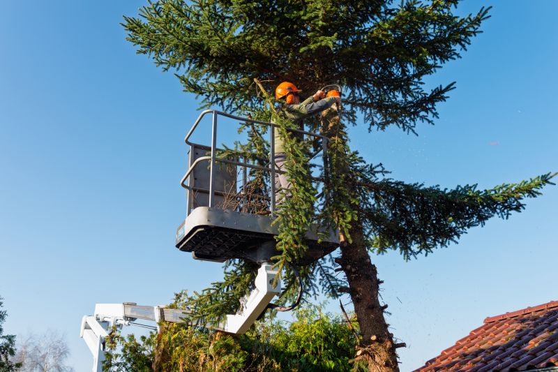 Products For Arborist Service in use